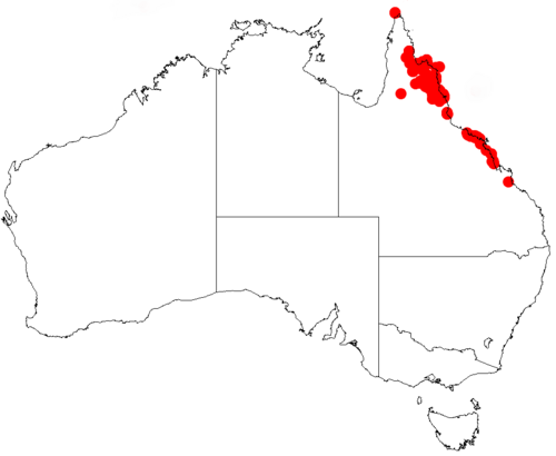 Acacia oraria: Acacia oraria occurrence data from Australasian Virtual Herbarium downloaded from https://doi.org/10.26197/5c0b1388984eb on 8 December 2018