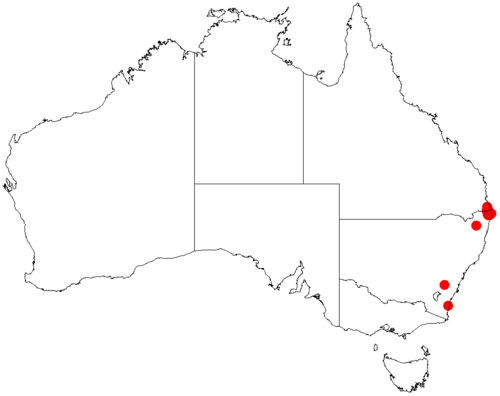 Acacia orites: Acacia orites occurrence data from Australasian Virtual Herbarium downloaded from https://doi.org/10.26197/5c0b1388984eb on 8 December 2018