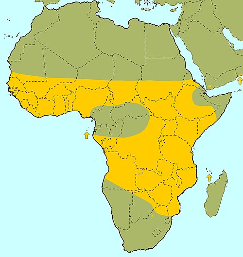 African baobab: Air de répartiton
