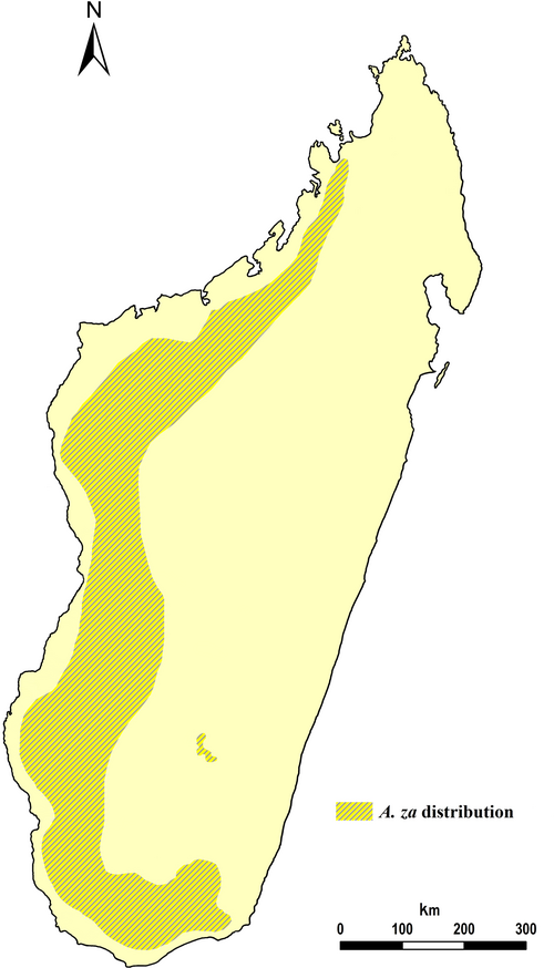 Baobab: Distribution of Adansonia za .