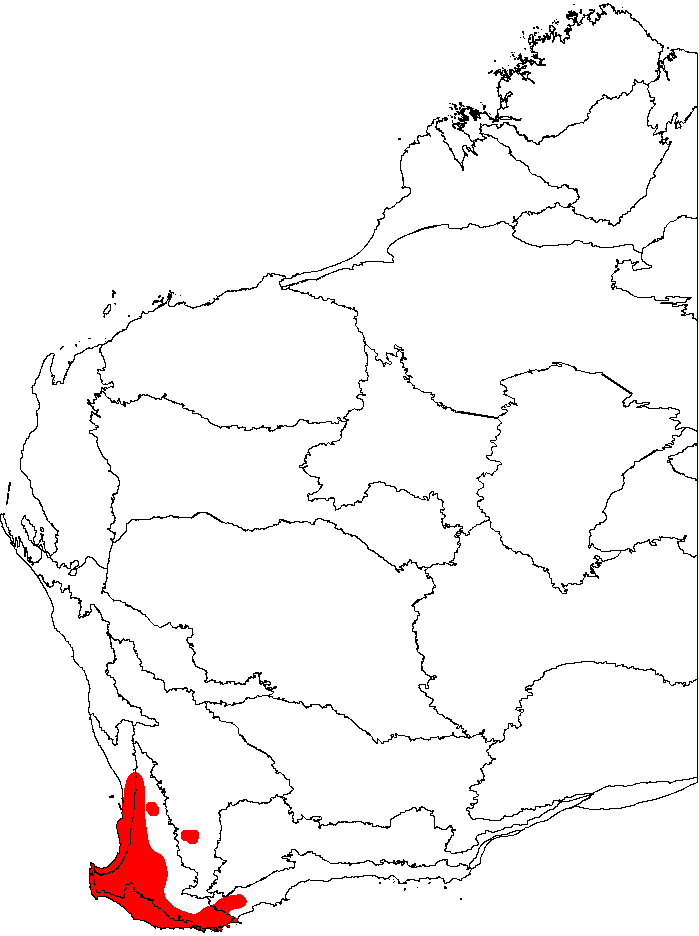 Adenanthos obovatus: This is a map of Western Australia, showing the distribution of Basket Flower superimposed on a background of the IBRA 6.1 biogeographic regions.