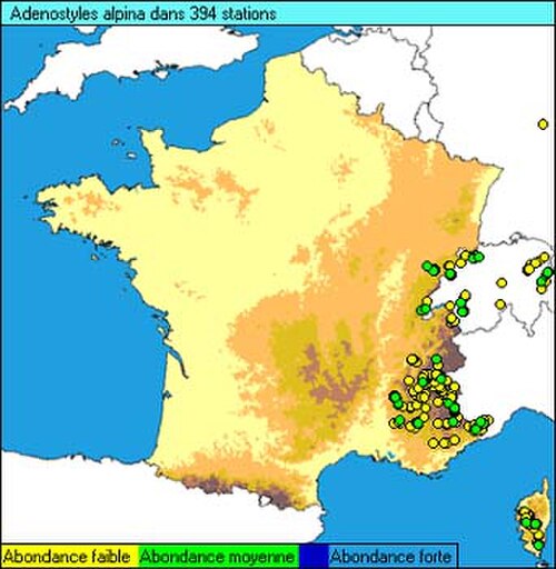 Adenostyles alpina: Alpine Plantain dispatching map in France ( Adenostyles alpina ), originating of the internet site http://sophy.u-3mrs.fr/ . The accord of the autor, H. Brisse,