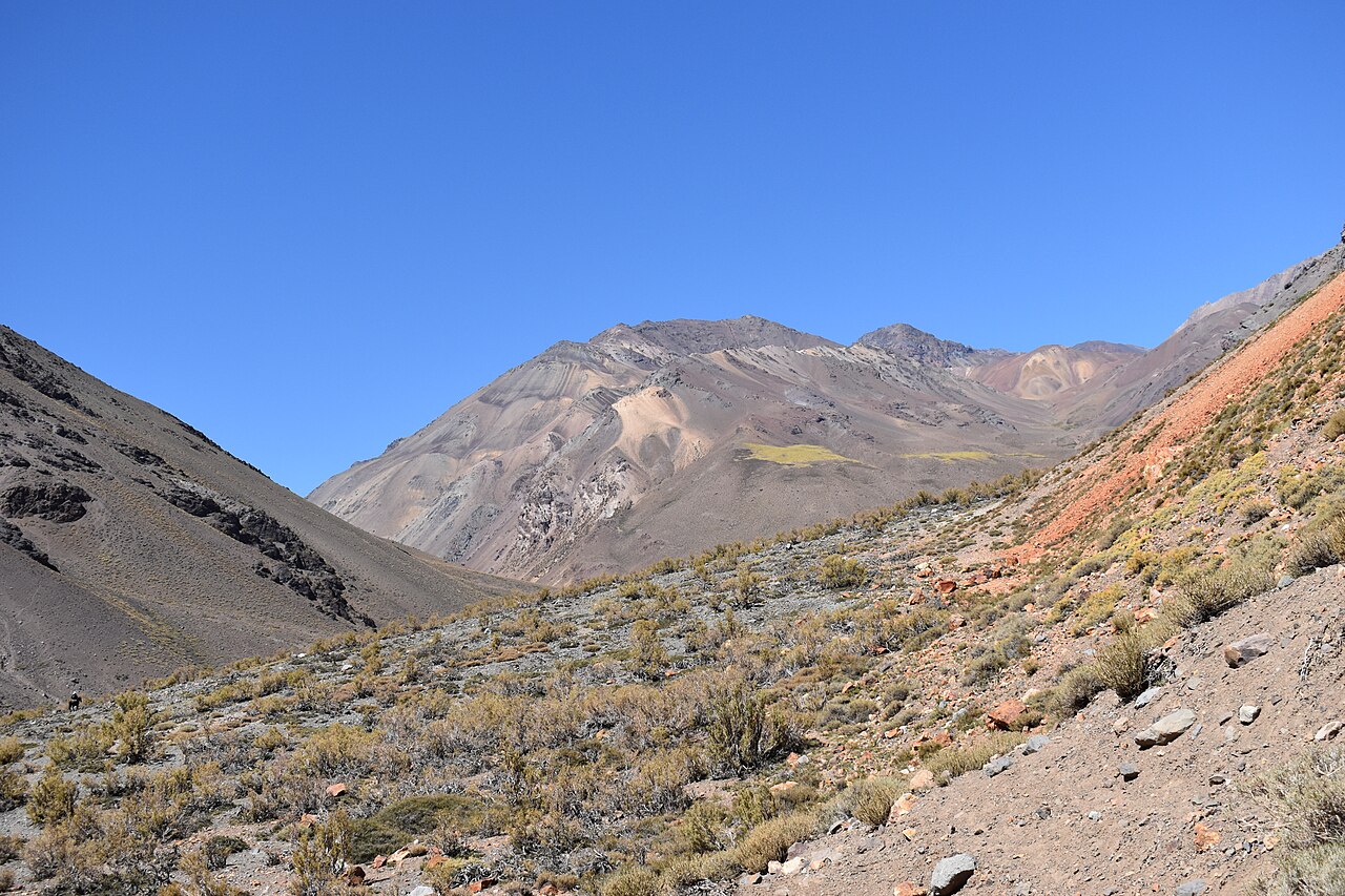 Adesmia pinifolia: Rio Rocín, Putaendo, alta cordillera