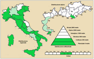 Three-awned goatgrass: Aegilops neglecta - Distribuzione in Italia