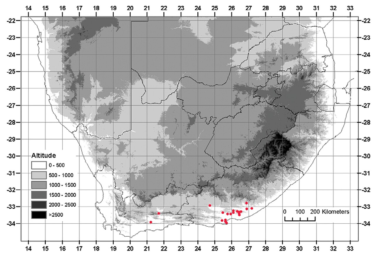 Albuca bakeri: Known distribution of Albuca bakeri Mart.-Azorín & M.B. Crespo.