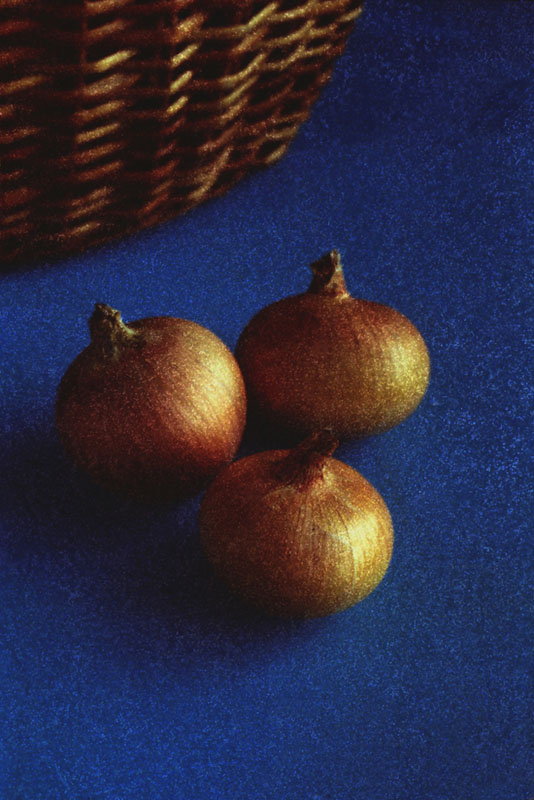 Onion: Allium cepa (2002).