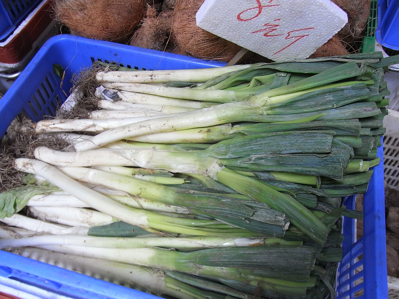 Welsh onion: 好上好膳康菓菜雜貨公司