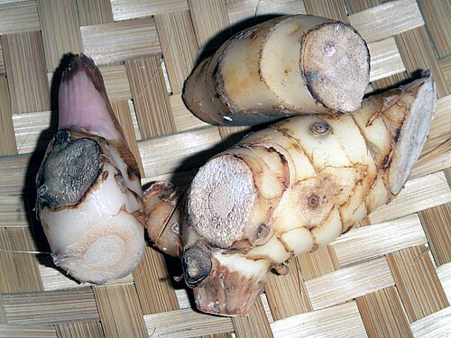 Greater galangal: Galgant / Galagant / Thai Ginger ( Alpinia galanga ), pieces Own work, April 8, 2006 License: Copyleft / Multi-license GFDL & CC-BY-SA 2.5 or previous