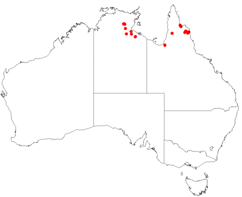 Amyema herbertiana: Australian distribution of Amyema herbertiana based on download from Australasian Virtual Herbarium May 9, 2018