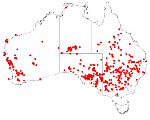 Amyema miraculosa: Australian distribution of Amyema miraculosa based on download from Australasian Virtual Herbarium May 9, 2018