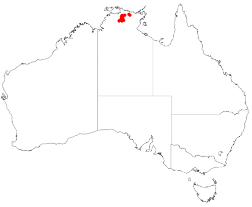 Amyema tridactylum: Australian distribution of Amyema dactyla based on download from Australasian Virtual Herbarium May 9, 2018