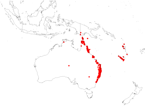 Amylotheca dictyophleba: Amylotheca dictyophleba Occurrence data map from GBIF downloaded 27 February 2019 using DOI https://doi.org/10.15468/dl.uyb4iz