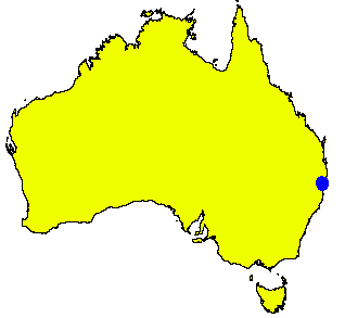 Angophora robur: Angophora robur occurrence data downloaded from Australasian Virtual Herbarium using https://doi.org/10.26197/5c933e9cb99f6 on 21 March 2019