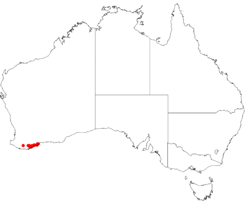 Anigozanthos onycis: Anigozanthos onycis occurrence data Downloaded from Australasian Virtual Herbarium 12 May 2017