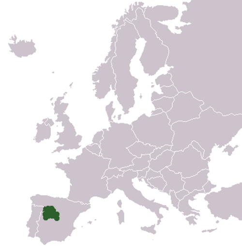 Anthemis alpestris: Distribution of Anthemis alpestris