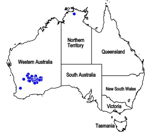 Apatelantha viscida: Mapa de distribución de Physopsis viscida , endemismo de Western Australia.
