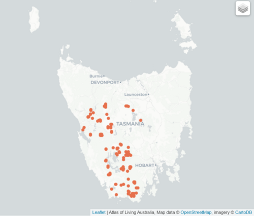 Archeria serpyllifolia: Distribution Map of Archeria serpyllifolia in Tasmania, Atlas of Living Australia, 2023