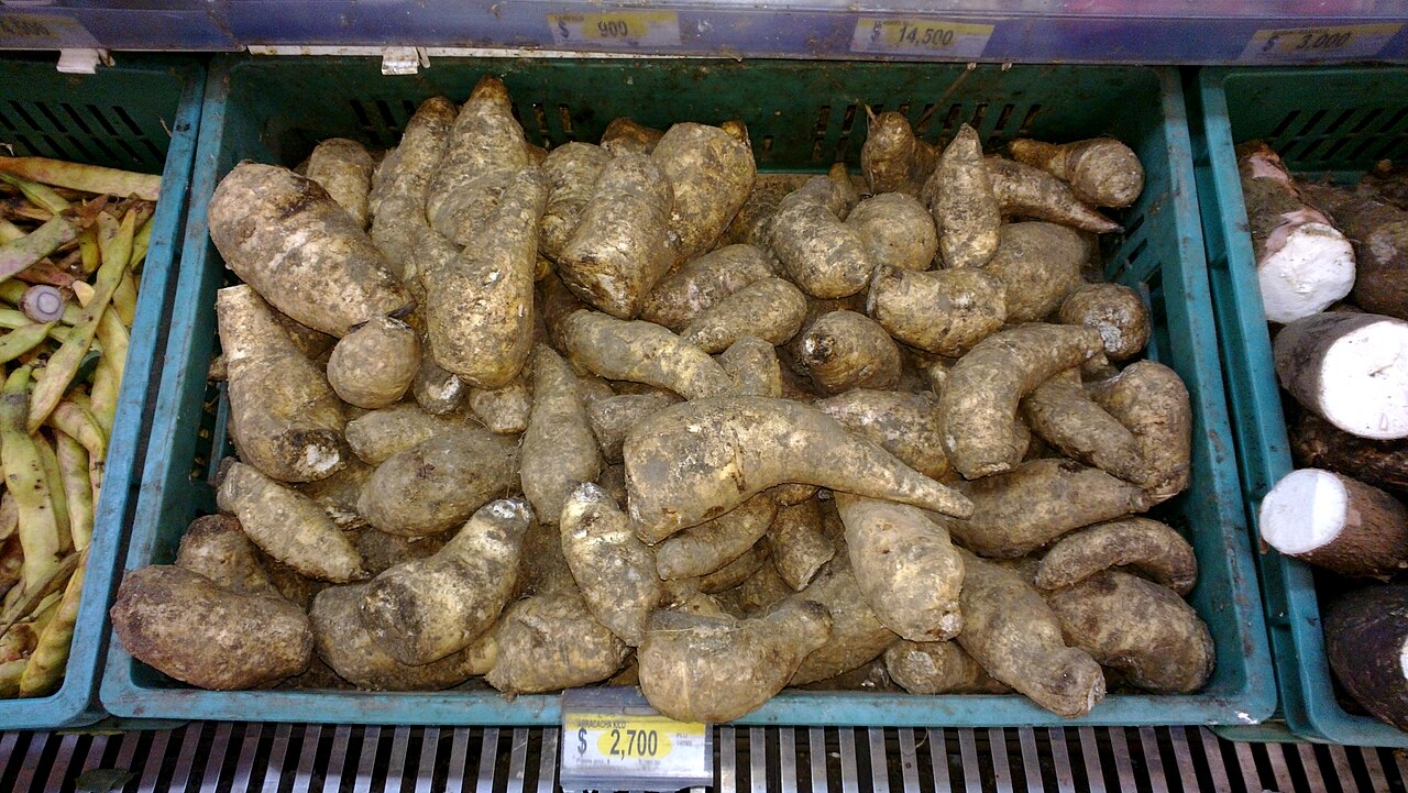 Arracacha: Arracachas en un supermercado de Colombia