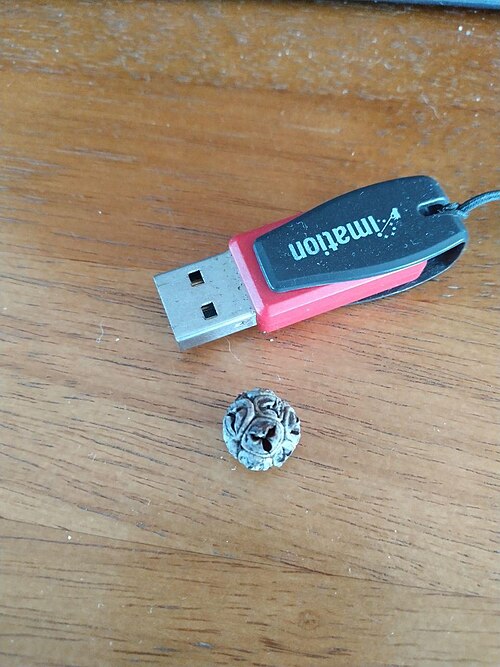 Asteromyrtus symphyocarpa: Seed pod of Asteromyrtus symphyocarpa with USB device for scale