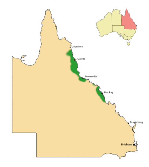 Brown gardenia: Distribution of Atractocarpus fitzalanii in Queensland. Uses Queensland_locator-MJC.png for the inset map
