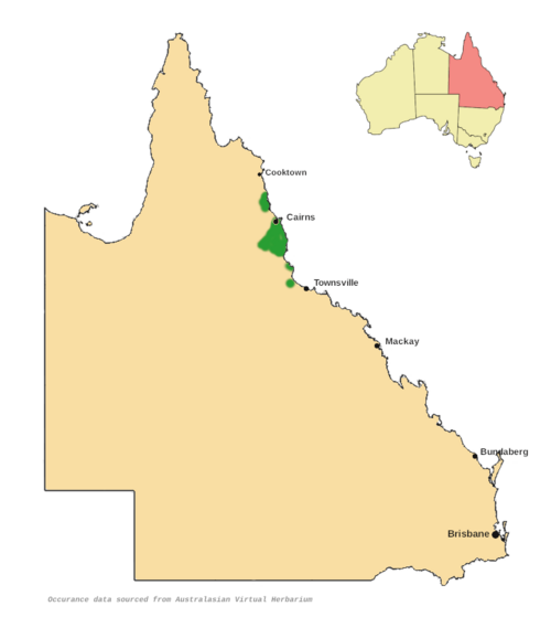 Hairy gardenia: Atractocarpus hirtus distribution map