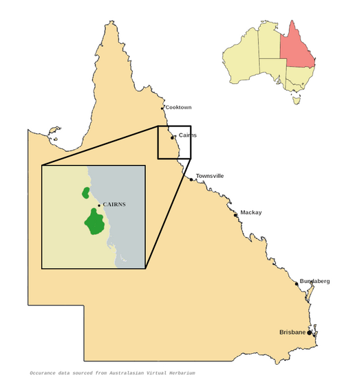 Mountain gardenia: Map showing the distribution of the species Atractocarpus merikin