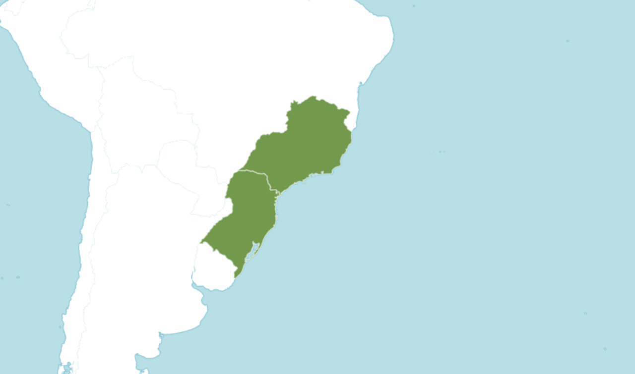 Attalea dubia: Attalea dubia Distribution from The International Plant Names Index and World Checklist of Selected Plant Families 2022. Published on the Internet at http://www