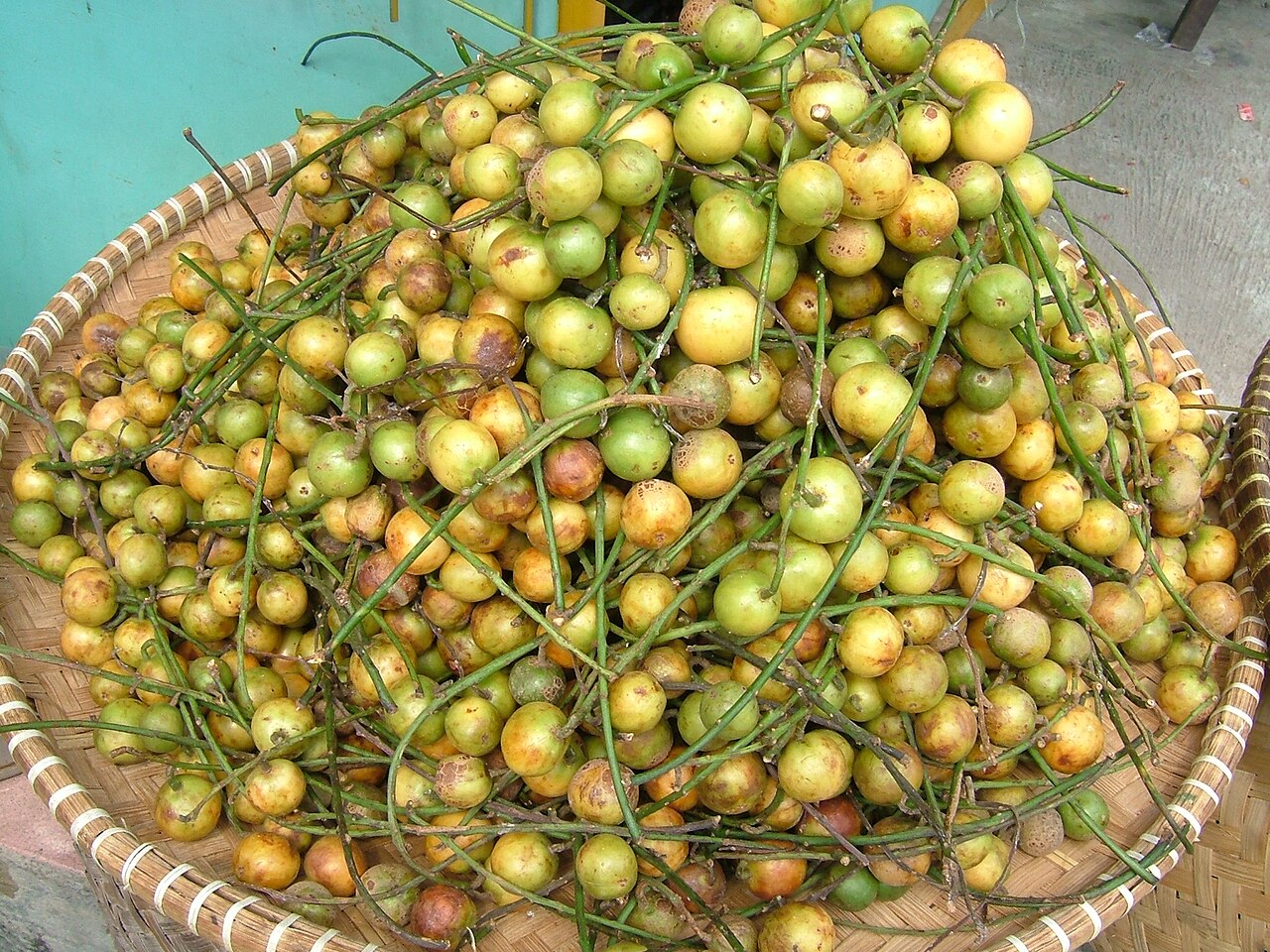 Menteng: Kepundung (Menteng) Baccaurea racemosa Muell. Arg. カープンドゥン
