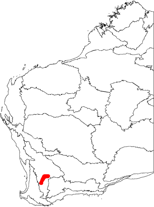 Matchstick banksia: This is a map of Western Australia, showing the distribution of Banksia cuneata (Matchstick Banksia) superimposed on a background of the IBRA 6.1 biogeographic 