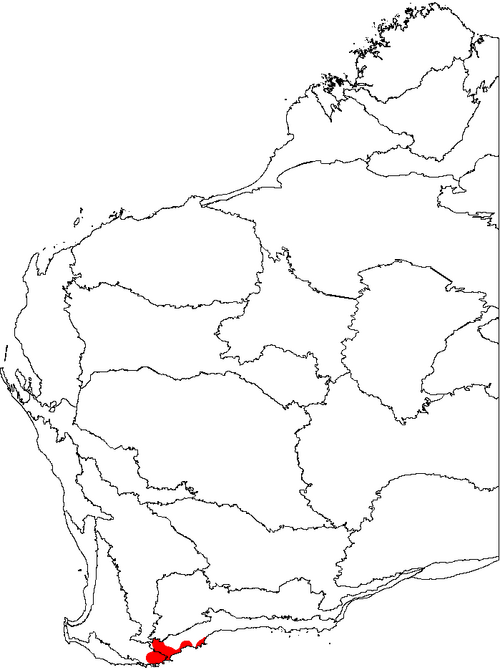 Dryandra-leaved banksia: This is a map of Western Australia, showing the distribution of Banksia dryandroides (Dryandra-leaved Banksia) superimposed on a background of the IBRA 6.1 biog