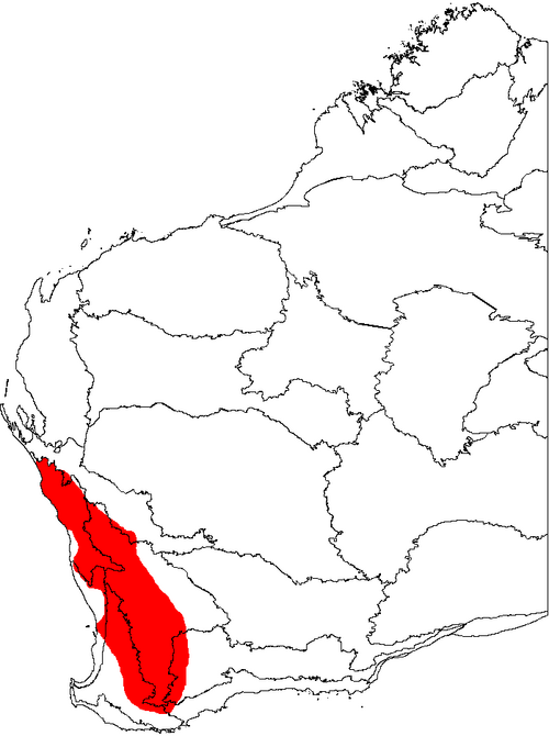 Banksia fraseri: This is a map of Western Australia, showing the distribution of Banksia fraseri , superimposed on a background of the IBRA 6.1 biogeographic regions.