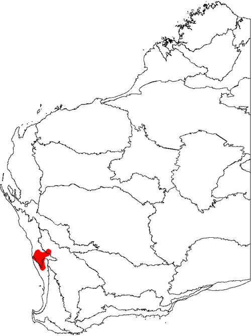 Banksia grossa: Map of Western Australia showing the distribution of Banksia grossa (Coarse Banksia) superimposed on a background of the IBRA 6.1 biogeographic regions.