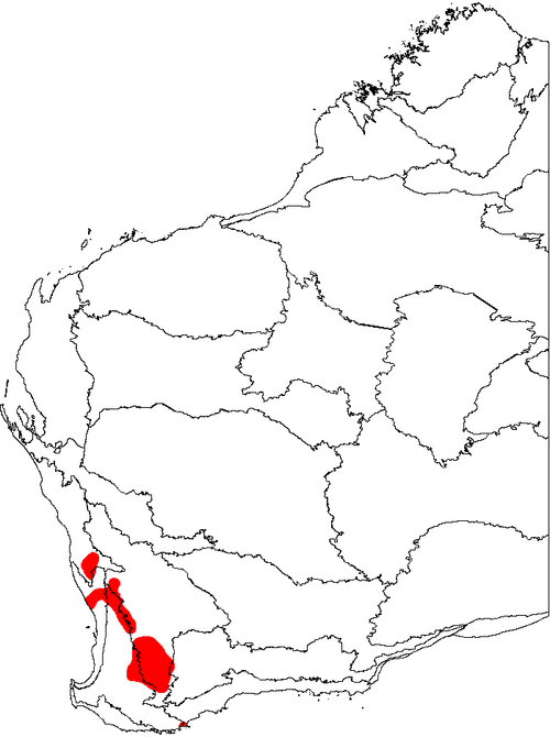 Golden dryandra: This is a map of Western Australia, showing the distribution of Banksia nobilis (Golden Dryandra, formerly Dryandra nobilis )superimposed on a background of the