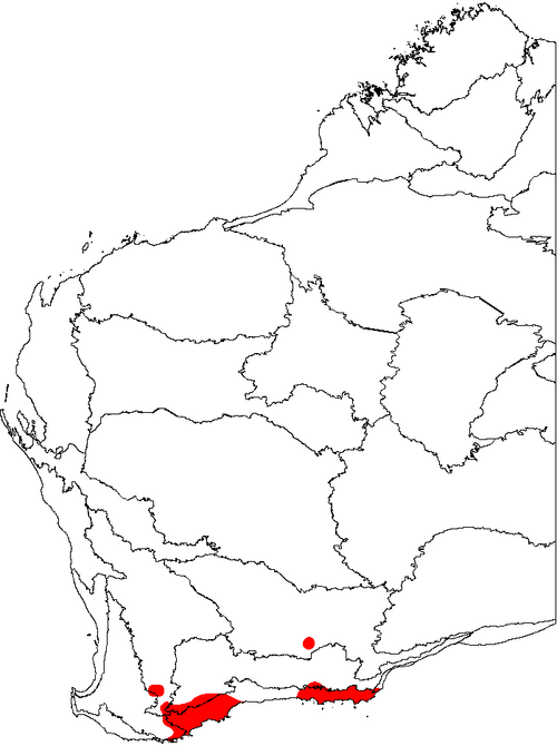 Banksia nutans: This is a map of Western Australia, showing the distribution of Banksia nutans (Nodding Banksia) superimposed on a background of the IBRA 6.1 biogeographic regi