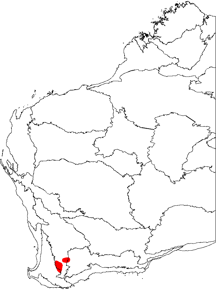 Wagin banksia: This is a map of Western Australia, showing the distribution of Banksia oligantha (Wagin Banksia) superimposed on a background of the IBRA 6.1 biogeographic reg
