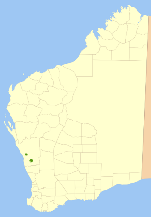 Burma road banksia: Map of Banksia scabrella .