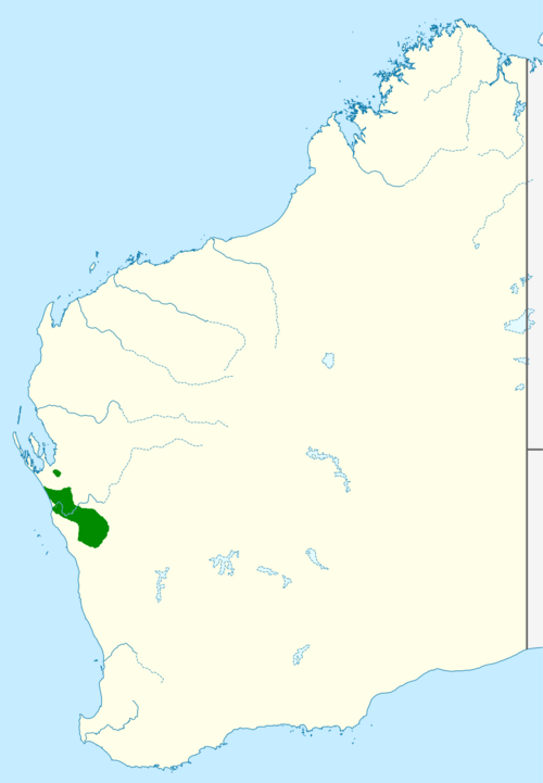 Banksia sceptrum: Banksia sceptrum range map, map template is from File:Australia Western Australia location map blank.svg , and information is fromInformation adapted from Taylo