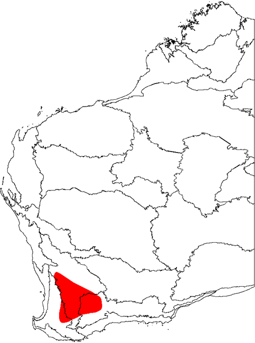 Fox banksia: This is a map of Western Australia, showing the distribution of Banksia sphaerocarpa var. caesia superimposed on a background of the IBRA 6.1 biogeographic regi