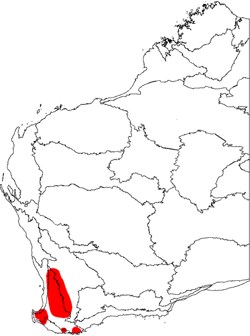 Banksia squarrosa: This is a map of Western Australia, showing the distribution of Banksia squarrosa (Pingle) superimposed on a background of the IBRA 6.1 biogeographic regions.