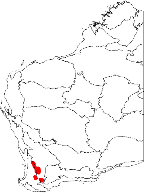 Banksia stuposa: This is a map of Western Australia, showing the distribution of Banksia stuposa superimposed on a background of the IBRA 6.1 biogeographic regions.