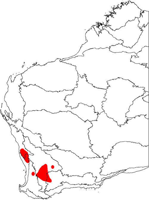 Banksia vestita: This is a map of Western Australia, showing the distribution of Banksia vestita (Summer Dryandra) on a map of the IBRA 6.1 biogeographic regions.