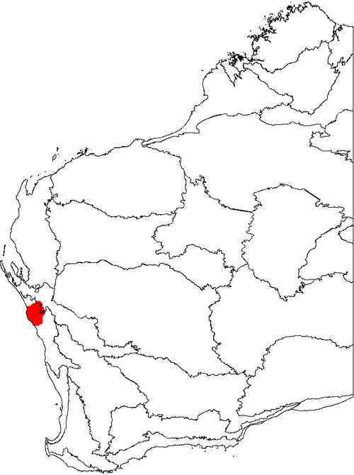 Banksia victoriae: This is a map of Western Australia, showing the distribution of Banksia victoriae (Woolly Orange Banksia) on a map of the IBRA 6.1 biogeographic regions.