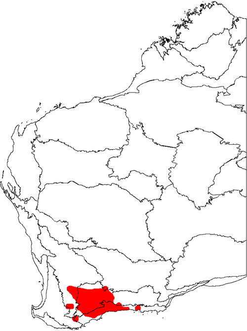 Banksia violacea: This is a map of Western Australia, showing the distribution of Banksia violacea on a map of the IBRA 6.1 biogeographic regions.