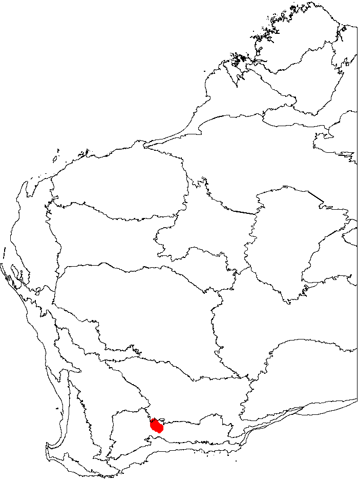 Banksia viscida: This is a map of Western Australia, showing the distribution of Banksia viscida (Sticky Dryandra) on a map of the IBRA 6.1 biogeographic regions.