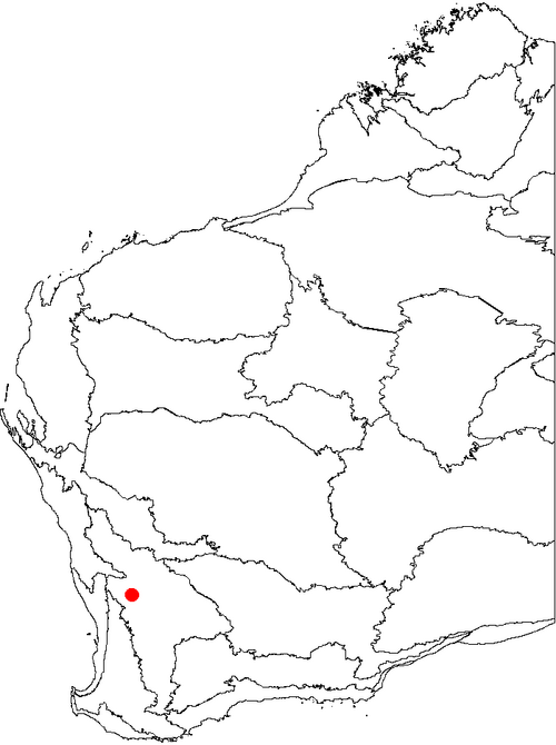 Banksia wonganensis: This is a map of Western Australia, showing the distribution of Banksia wonganensis on a map of the IBRA 6.1 biogeographic regions.