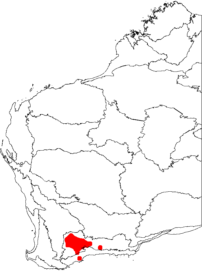 Banksia xylothemelia: This is a map of Western Australia, showing the distribution of Banksia xylothemelia superimposed on a background of the IBRA 6.1 biogeographic regions.
