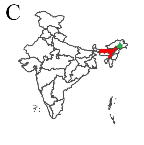 Begonia dicressine: Distribution of Begonia dicressine in India