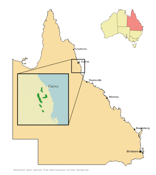 Beilschmiedia brunnea: Beilschmiedia brunnea distribution map