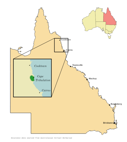 Beilschmiedia castrisinensis: Beilschmiedia castrisinensis distribution map