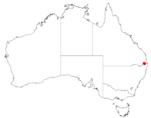 Bertya ernestiana: Bertya ernestiana Occurrence data downloaded on 22 June 2019 from Australasian Virtual Herbarium using doi: https://doi.org/10.26197/5d0d66a8764c3